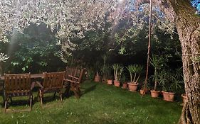 B&b Villa Mia